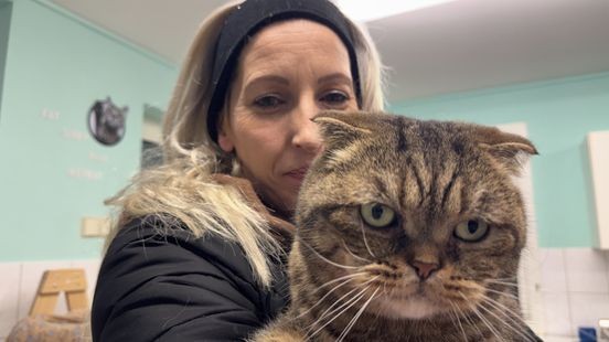 Katten in quarantaine en vogels achter hek: huisdiereigenaren en dierentuinen alert op vogelgriep