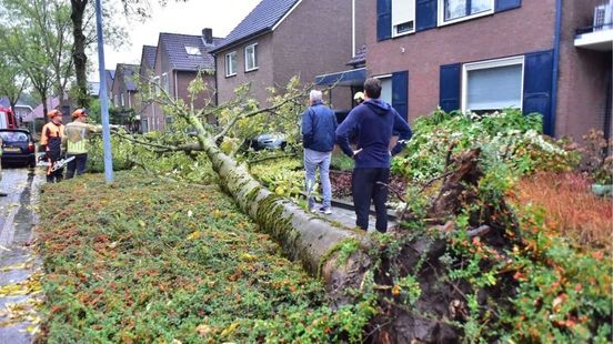 Boom valt op geparkeerde auto in Weert door storm