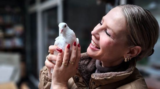 Vermiste tamme huisduif Toet weer terug bij Tamara: 'Ik ben ontzettend gelukkig'