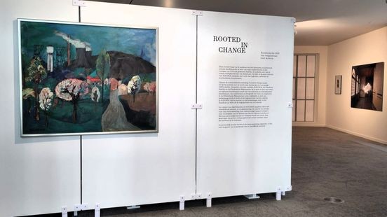 DSM-collectie voor het eerst te zien: 'Kunst verankerd in Limburgse cultuur'