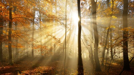 Na onstuimig weekend deze week rustiger herfstweer verwacht