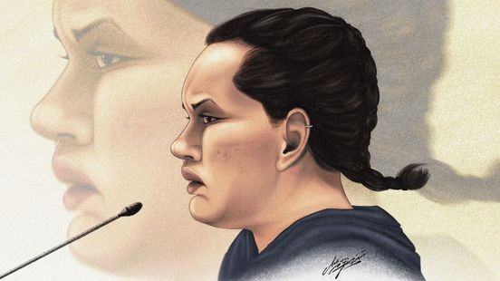 Verdachte moord Mondriaan: 'Ik heb haar vermoord vanwege mijn ziekte'