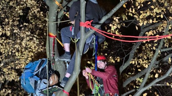 Rijkswaterstaat stelt bomenkap uit: actievoerders komen naar beneden