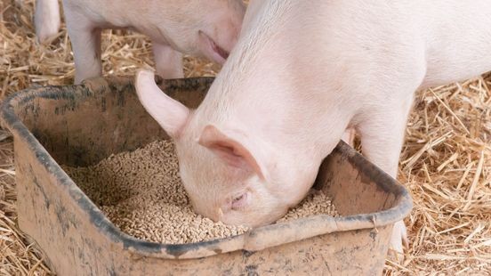 Horst aan de Maas wil stank door veehouders in kaart brengen