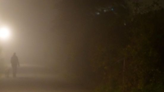 Man laat hond uit op vluchtstrook van de A2