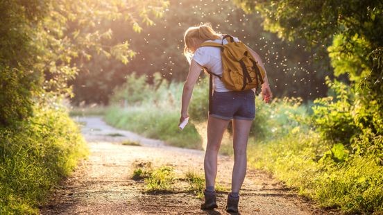 Ondanks warm weer dit jaar minder meldingen van muggenoverlast