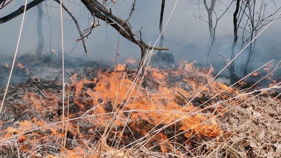 Waarom Noord-Limburg nu pas opschaalt naar verhoogde natuurbrandwaarschuwing