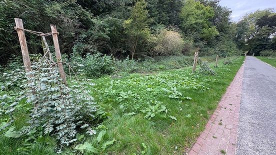 Hoge pieptoon en gesloten toegangspoort moet vandalisten buiten het Kasteelpark houden