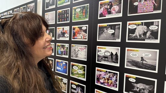 Van strip tot steun: Angelique vond troost in dagelijkse comics van haar hond