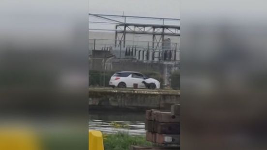 Limburgse politie haalt hond Sparrow weg bij baasjes na mogelijk opzettelijke aanrijding