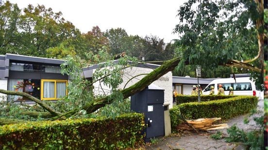 Meer stormschade: afgebroken tak valt op dak in Weert en veroorzaakt gat