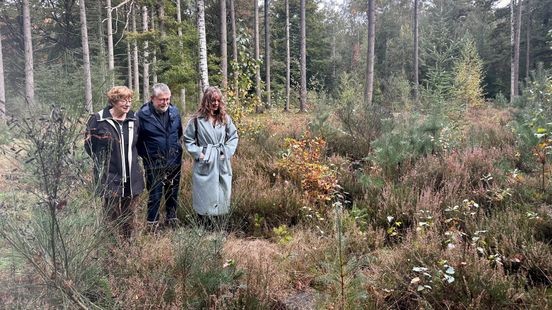 Natuurbegraven wint aan populariteit in Limburg : 900 nieuwe plekken op de Mookerheide