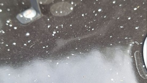 Wit poeder op meer plekken na ammoniaklek Chemelot: advies aangepast
