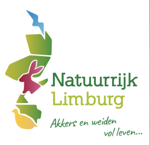 OR6 / zondag 8 mei / 11.00u / Wo höbbe veer ´t euver