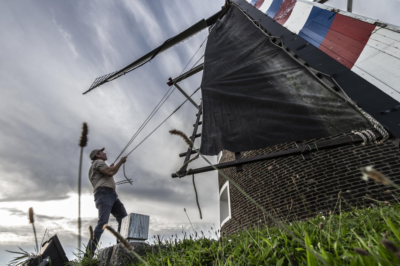 Limburgse Molendag: genieten van de wind langs je wangen en het ratelende ritme van de molen, ‘Je raakt hier helemaal aan verknocht’