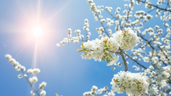 Stralend lenteweer deze week, met donderdag lokaal 27 graden