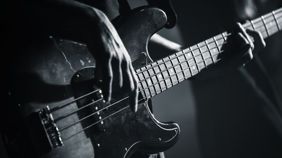 Fred H. stopt als bassist van Heideroosjes na verdenking in kinderpornozaak