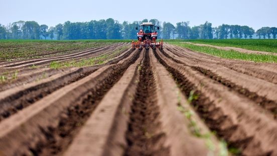 Natuurorganisaties willen dat provincie actie onderneemt vanwege aardappelteelt bij Groote Peel