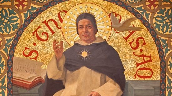 Schedel van middeleeuwse theoloog Thomas van Aquino in Kerkrade