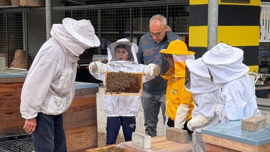Les over bloemetjes en bijtjes: kinderen leren imkeren in Weert