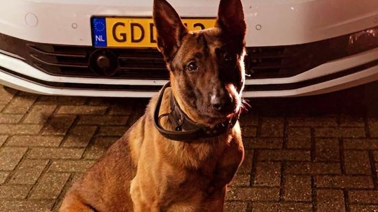 Politie zet hond in na diefstal bij truckstop: twee verdachten aangehouden
