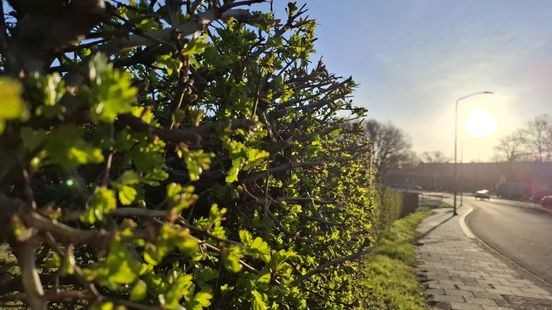 Temperatuur loopt op naar ruim 21 graden: eerste warme dag van het jaar in Limburg