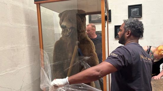 'Tweelingbroer' van beer Missiemuseum onderweg naar Steyl