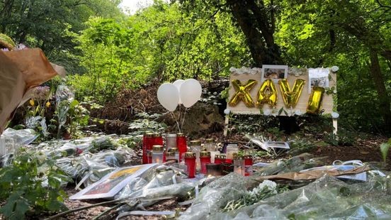 Doorbraak in onderzoek dood Xavier Durlinger: eerder aangehouden Merlijn C. opnieuw opgepakt