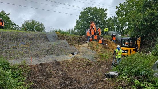 Deze dieren vertraagden grote bouwprojecten in Limburg