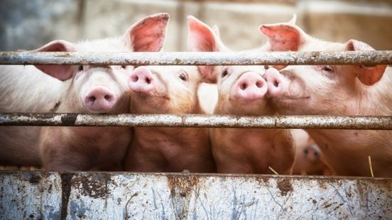 Zo wordt een hele gemeente geraakt als boeren verdwijnen