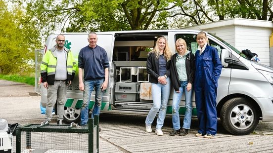 Tientallen katten aan hun lot overgelaten op verlaten camping: redding uit Friesland