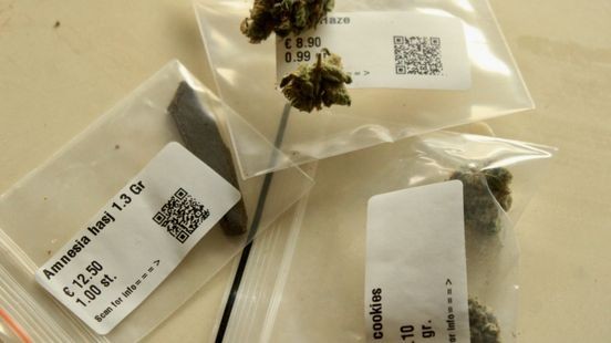 Illegale hasj tijdelijk toegestaan in laatste fase wietproef