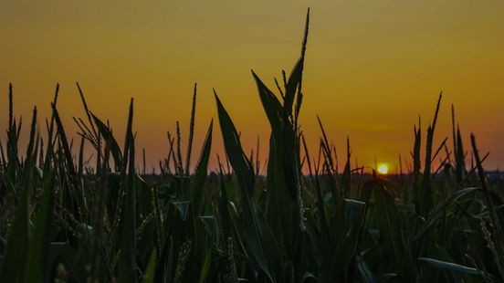 Zomer was opnieuw warm, zonnig en droog