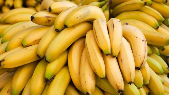 OM wil celstraffen voor plannen van cocaïnetransport
