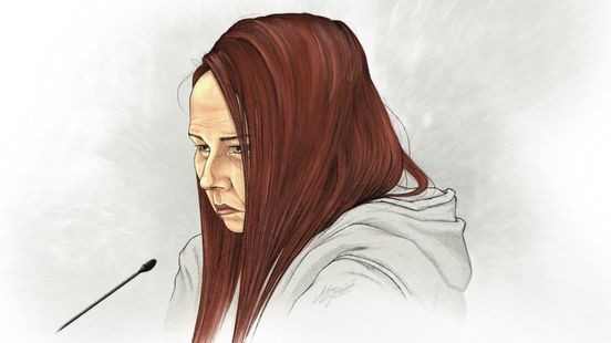 Jarenlange celstraf geëist in schokkende zaak Venloos keldermeisje