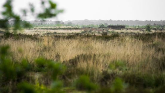 Wiersma trekt 2,2 miljard euro uit voor stikstofaanpak, gedeelte is voor De Peel