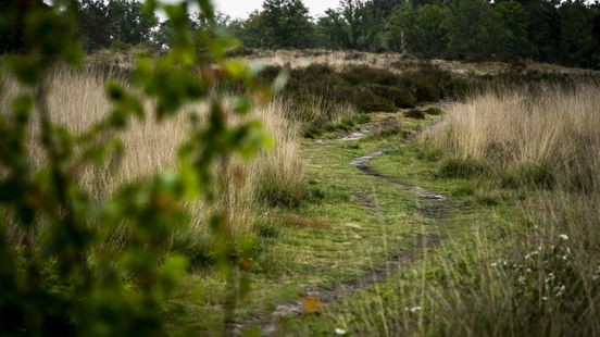 Limburg positief over stikstofplan Wiersma