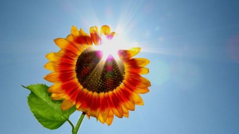 Kwik stijgt weer naar tropische temperaturen: mogelijk hittegolf op komst
