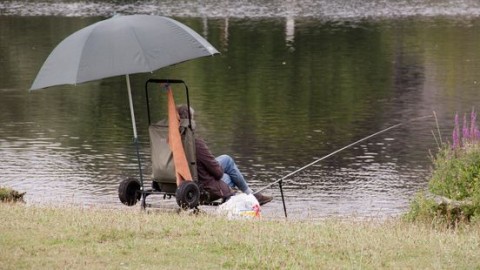 Vissen over de grens: hier terug in het water, in Duitsland op het bord