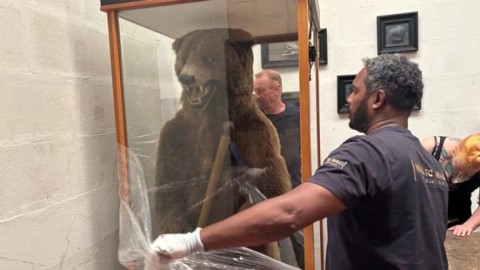 'Tweelingbroer' van beer Missiemuseum onderweg naar Steyl