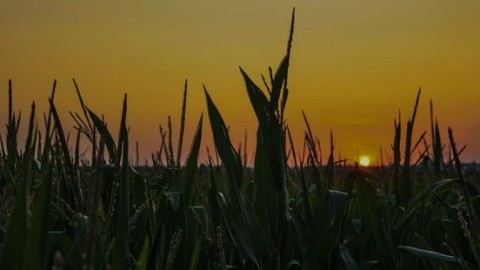 Zomer was opnieuw warm, zonnig en droog