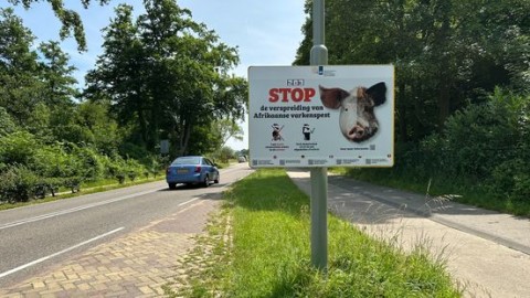 Kuusj maakt zich klaar voor op Afrikaanse varkenspest: 'Goed voorbereid zijn belangrijk'
